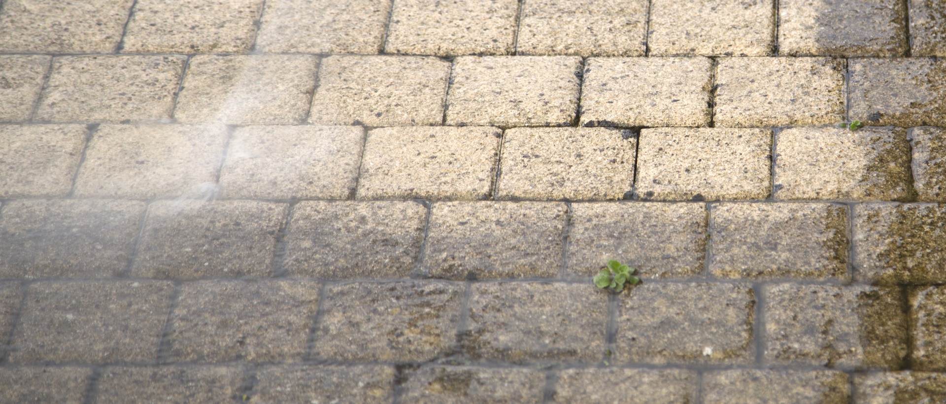 flagging and patios N21