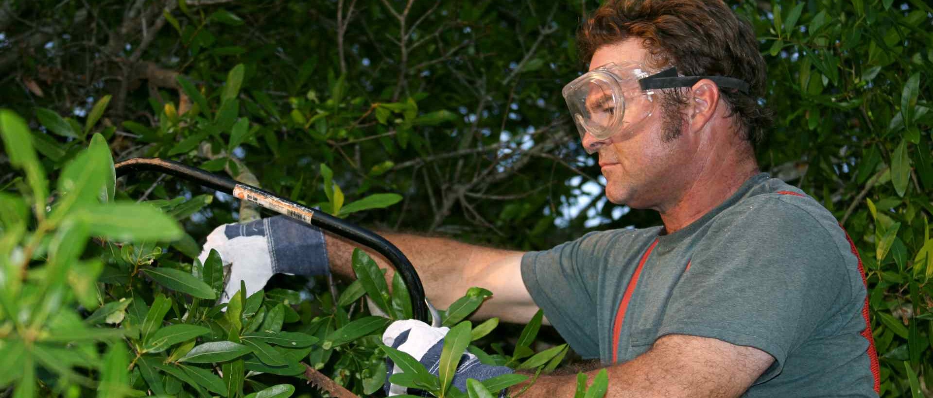 garden clearance N21